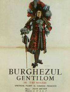 Мещанин во дворянстве