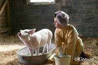 Кадр Паутина Шарлотты