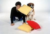 Кадр Везучий пес