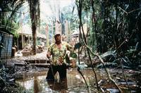 Кадр Берег москитов