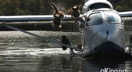 Кадр из фильма "Свора" - 1