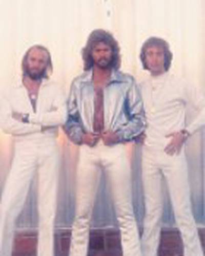 The Bee Gees фото