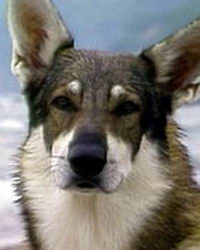 Лондон фото