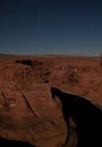 Мэтт Холуик фото