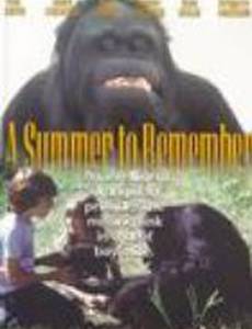 A Summer to Remember