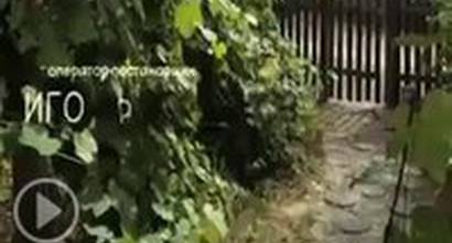 Вступительные титры 