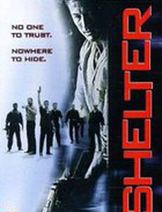 Под прикрытием