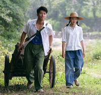 Кадр Под ветвями боярышника