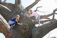 Кадр Чудеса с небес