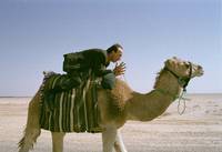 Кадр Тигр и снег