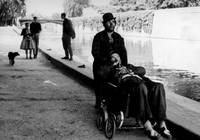 Кадр Знак Льва