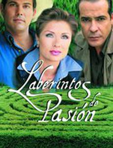Лабиринты страсти