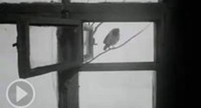 Телевизионный ролик 