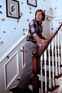 Кадр Боязнь пауков