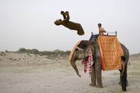 Кадр Придурки