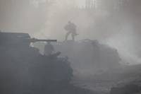 Кадр Белый тигр