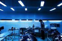 Кадр Вирусный фактор