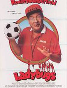 Божьи коровки