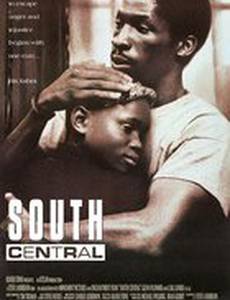 Южный централ