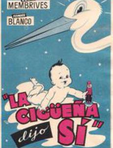 La cigüeña dijo sí