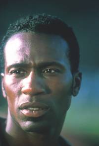 Кадр Летучие мыши