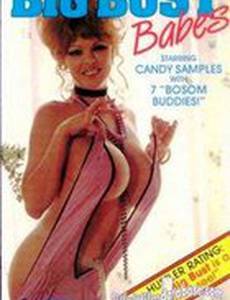Big Bust Babes (видео)