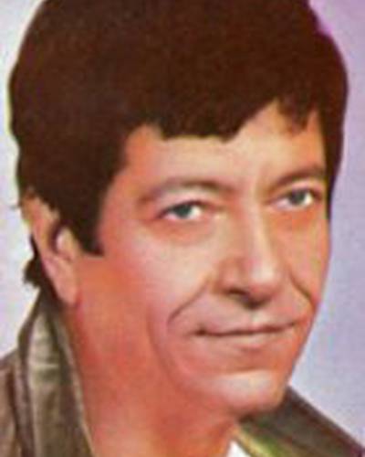 Ион Дикисяну фото