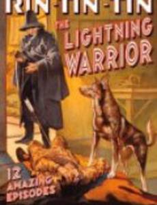 Молниеносный воин