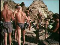 Кадр Неразлучные друзья