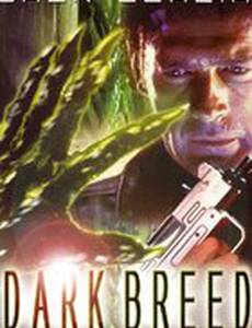 Темная порода