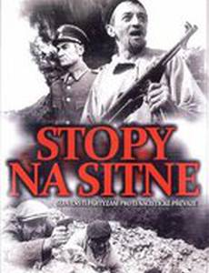 Следы ведут в пропасть