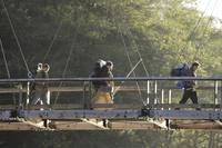 Кадр Анатомия страсти