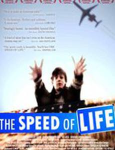 Скорость жизни