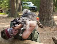 Кадр Месть пушистых