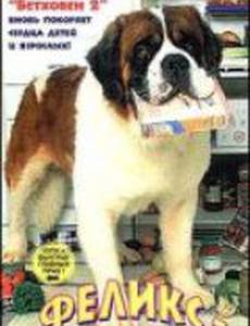 Феликс – лучший друг семьи