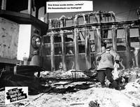 Кадр Собаки, хотите жить вечно?