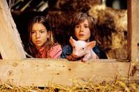 Кадр Руди – гончий поросенок