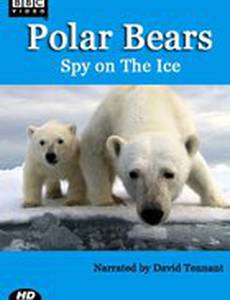 Белый медведь: Шпион во льдах