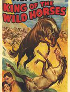 King of the Wild Horses