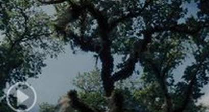 Фрагмент №13