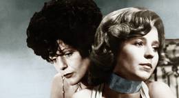 Кадр из фильма "Горькие слезы Петры Фон Кант" - 1