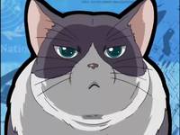 Кадр Стратос 4