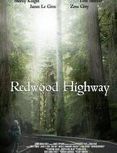 Redwood Highway