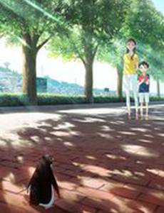 Тайная жизнь пингвинов 