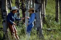 Кадр Заклинатель лошадей