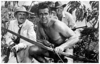 Кадр Приключения Тарзана в Нью-Йорке