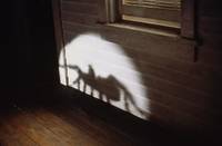 Кадр Боязнь пауков