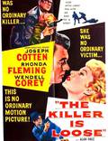Постер из фильма "Убийца на свободе" - 1