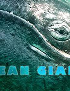 BBC: Морские гиганты