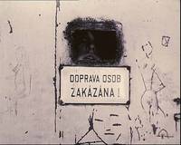 Кадр Маргаритки